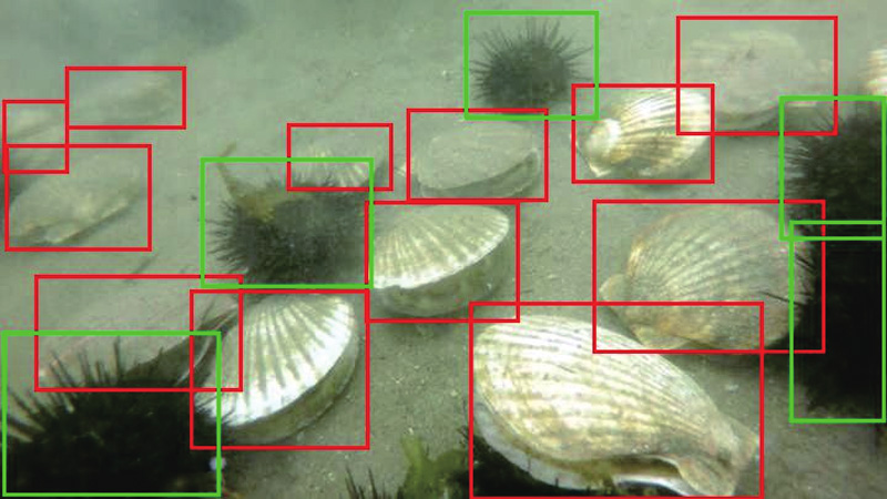 Underwater Optical ldentification Systems