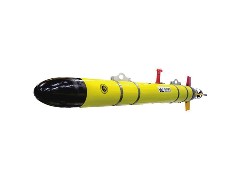 Medium AUV System